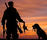 Сегодня в Астраханской области завершается охотничий сезон на дичь