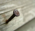 В астраханском детсаду нашли разбросанные гвозди