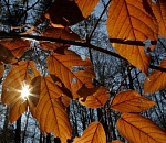 Завтра погода еще продолжит баловать астраханцев