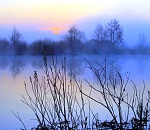 Завтра в Астраханской области температура вновь полезет за +20°