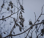 В Астрахани установилось стабильное тепло