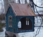 Астраханцы могут позаботиться о птицах 