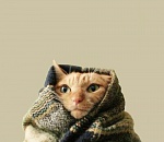 Астраханцев ждет холодная пятница. Возможен дождь и даже мокрый снег