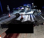 На астраханской дороге зафиксировано еще одно жесткое ДТП с участием животных. Только теперь есть и человеческие жертвы