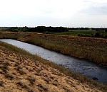 Росприроднадзор взыскивает с астраханского поселка ущерб за вред, нанесенный экологии 