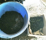 У астраханца на чердаке нашли четыре кг марихуаны