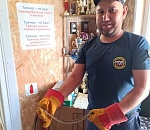 Жутковатая гостья заползла в астраханскую спортшколу 