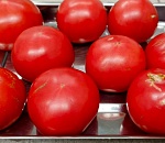 Опасных вредителей обнаружили в импортных томатах астраханские специалисты