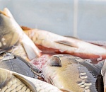 В Астрахани начинают работу ярмарки