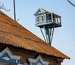 Под Астраханью сфотографировали скворечник, поражающий своей архитектурой