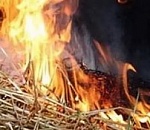 В Астраханской области из-за детской шалости сгорели две тонны сена