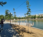 На Лебедином озере в Астрахани высадили новые крупные деревья