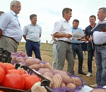 Астраханские аграрии увеличили продажи на 5%