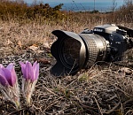 ЛУКОЙЛ объявляет о старте Конкурса «Чистый взгляд-2017»