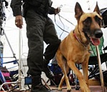 В Госдуме собираются ужесточить наказание за торговлю контрафактом