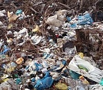 Россельхознадзор направил в прокуратуру материалы на астраханские земельные участки, где продолжают лежать отходы и мусор