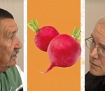 Олег Шеин назвал Виктора Вострецова редиской, левый фронт не сросся