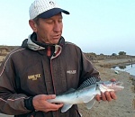 Задержали Игоря Белякова, организатора фестиваля "Вобла" и автора передачи "Клевое место"