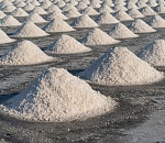 С нелегального соледобытчика взыскали 10 миллионов за порчу астраханской земли