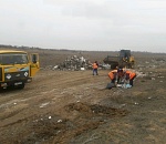 Это не утопия. Астрахань делают чище