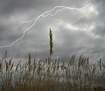 Завтра в Астрахани погода испортится