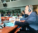 Россия вернулась в ПАСЕ в виде астраханского сенатора Александра Башкина