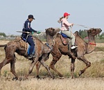 На Всероссийском Сабантуе героя конных скачек ждет автомобиль, а триумфатора верблюжьих бегов – 200 000 рублей