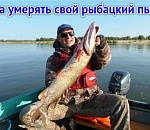 Волга и разум: вернется ли рыба в главную русскую реку