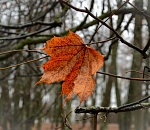 В Астрахани с каждым днем становится теплее 