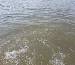 Найдено тело молодой астраханки, утонувшей в Волге