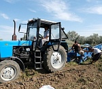 С начала года в астраханский агропром трудоустроились около 400 человек