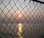 Астраханец полностью перекрыл сетью водоем, не пуская рыбу на нерест