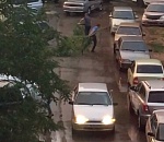 Пророчество астраханцев об опасном дереве сбылось