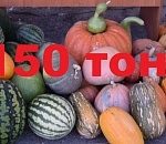 Цифра дня: 150 тонн продукции представили сегодня на ярмарке