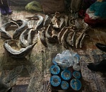 Полицейские изъяли у ранее судимого астраханца осетров, черную икру и наркотики