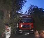 В Астрахани на фуру упало дерево