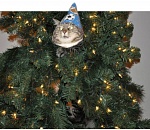 Здравствуй, елка, Новый год. Обзор соцсетей