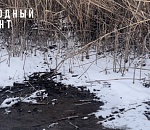 Праздника не будет: рыбацкий фестиваль на правобережье Астрахани отменили из-за черного и вонючего ерика