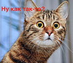 В Икрянинском районе Астраханской области случился политический коллапс