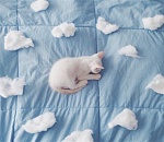 Завтра астраханцам будет светить солнце