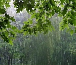 В субботу астраханцам обещают небольшой дождь и сильный ветер