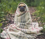 Апрель, ты чего? В Астрахань возвращается зима