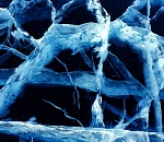 Стали известны подробности о мужчине, чей труп нашли вмерзшим в лед