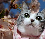 В воскресенье в Астрахани немного утихнет ветер, но сохранится весенняя прохлада