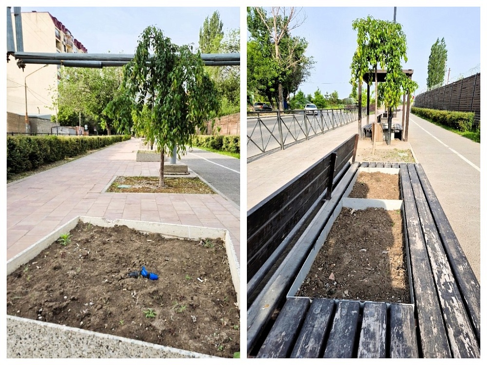 На обновленной Комсомольской набережной в Астрахани забыли посадить цветы