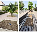 На обновленной Комсомольской набережной в Астрахани забыли посадить цветы