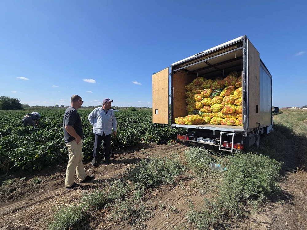 Жителям столицы отправили на пробу астраханский «Плутон», «Балхаш» и «Марианну»