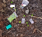 В Астрахани у супружеской пары обнаружили медведей с экстази