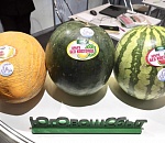 Астраханские дыня, арбуз и икра вызвали ажиотаж на международной выставке продукции