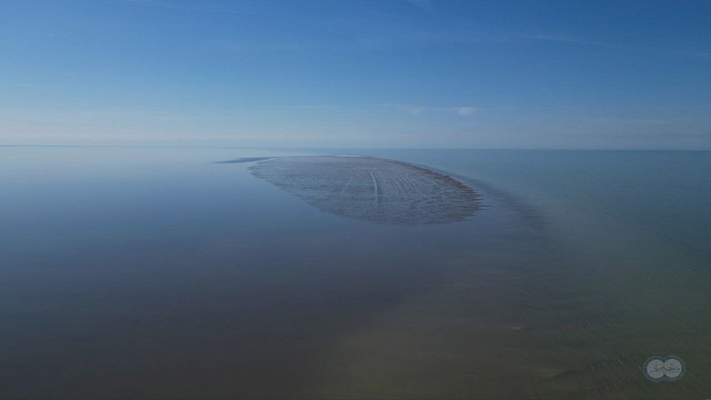 Мрачный прогноз в связи с недавним открытием на Каспии сделали астраханские ученые